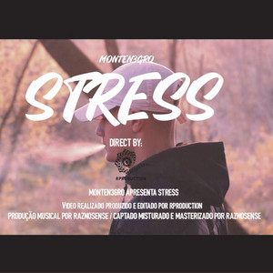 Portada de Stress