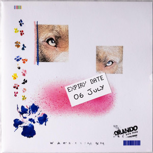 Teeth Fall Out by Orlando Soundy