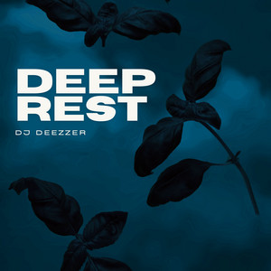Low Tide Feelings by DJ Deezzer