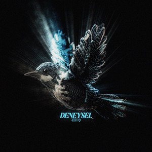 deneysel by Metto