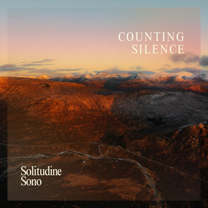 Counting Silence by Solitudine Sono