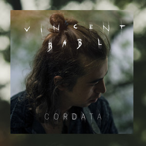 Skinny Love by Vincent Babl