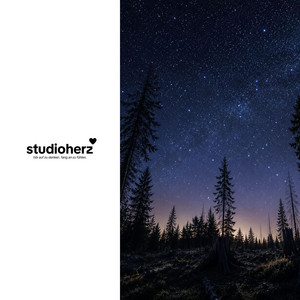 Fading Pines by studioherz