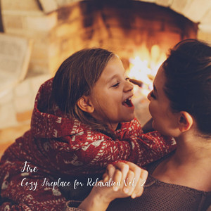 Fire: Cozy Fireplace for Relaxation Vol. 2 album