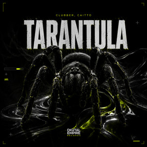 Tarantula by Clubber, Caitto
