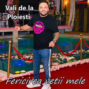 VALI DE LA PLOIESTI - Fericirea vetii mele