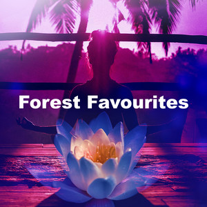 Forest Favourites