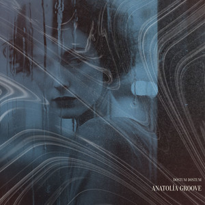 Dostum Dostum by Anatolia Groove