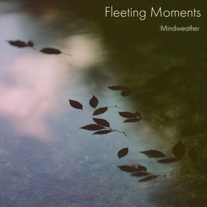 Fleeting Moments by Mindweather