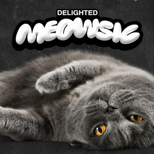 Delighted Meowsic album