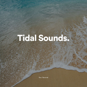 Tidal Sounds album