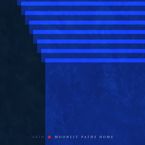 Moonlit Paths Home by Akio