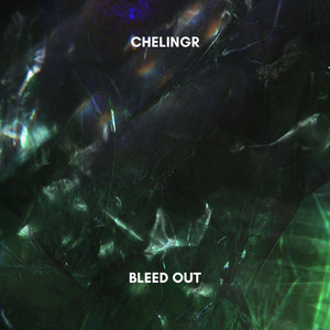 Bleed Out (Radio Edit) by Chelingr