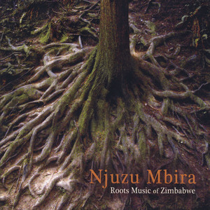 Taireva Gore Kore by Njuzu Mbira