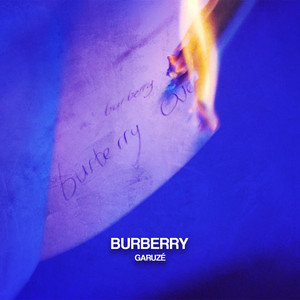 Portada de Burberry