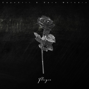 Fliegen by Scalid, Selina