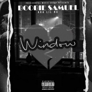 Portada de Window