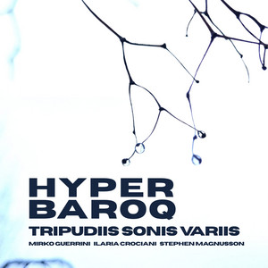 Che Si Può Fare by Mirko Guerrini, Hyperbaroq, Stephen Magnusson, Ilaria Crociani