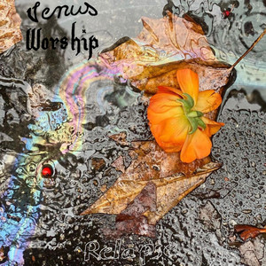 Relapse by Venus Worship