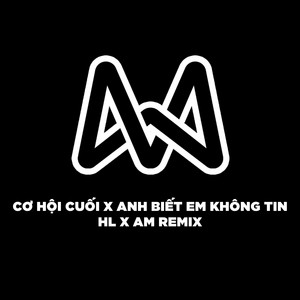 HL & DJ Am - Cơ Hội Cuối x Anh Biết Em Không Tin (HL Remix)