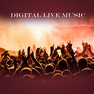 Boigy - Live Version by Digital Vincent
