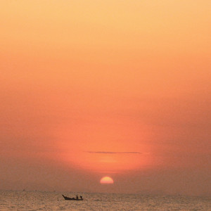 Fly Away by SHZA MN