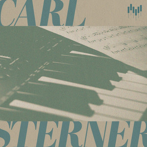 What We See by Carl Sterner