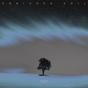 Somber 528 Hz by Enriched Soil