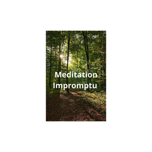 Meditation Impromptu by Rose of melody