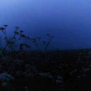 Aman Amanzholov®️ - Look in My Eyes