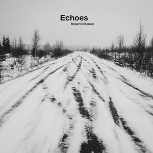 Echoes by Robert D Boman
