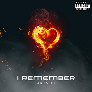 Ants XI - I Remember
