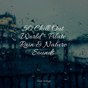 50 Chill Out World - Pilate Rain & Nature Sounds album