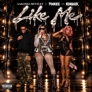 Like Me by Aakosha Bentley, Kenglokz, Pookiee