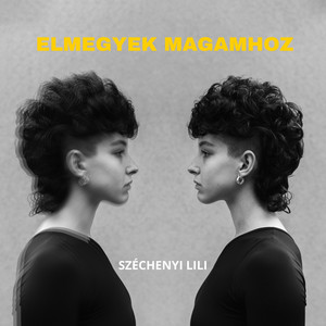 Elmegyek Magamhoz by Széchenyi Lili