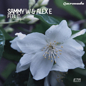 Feel It - Radio Mix