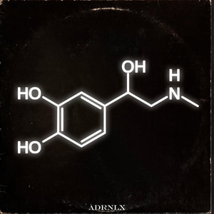 Обкладинка: ADRENALINE HardTekk - - Slowed
