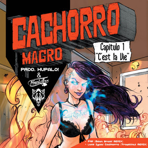 C'est la vie by Cachorro Magro