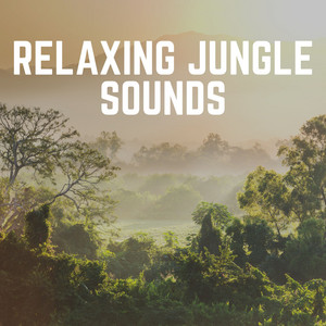 Relaxing Jungle Sounds album