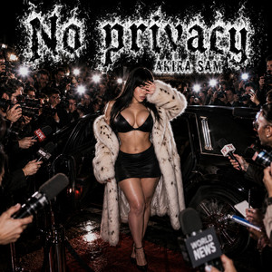No Privacy by Akira Sam
