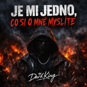 Je mi jedno, co jsi o mě myslíte by Dark King