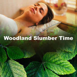 Woodland Slumber Time