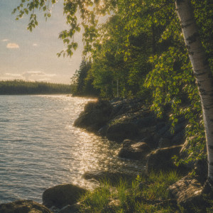 midsummer by Whojoa