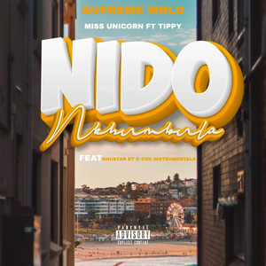 Nido Nkhumbula cover art