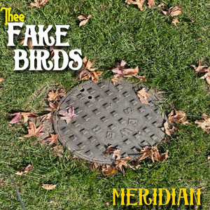 Meridian by Fake Birds