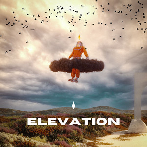 Elevation by Ale Love