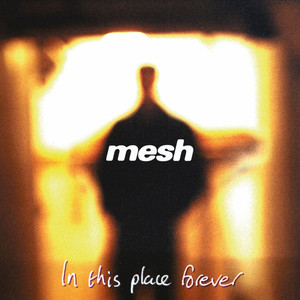 In This Place Forever cover