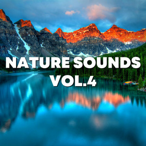 Natural Healing - 虫の音