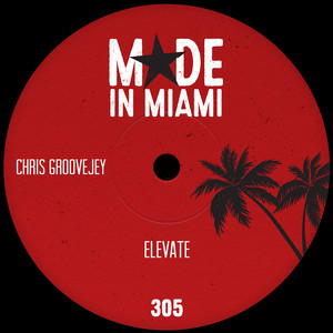 Chris Groovejey — Elevate (2026)