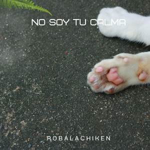 No Soy Tu Calma by Robalachiken